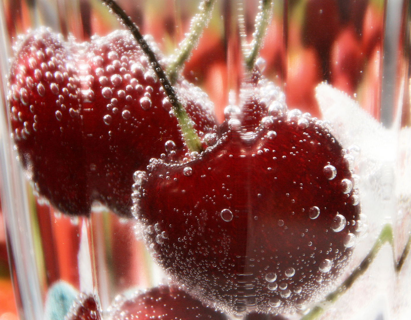 Kirschwasser Foto & Bild monatswettbewerbe natur, 07 kirschenzeit