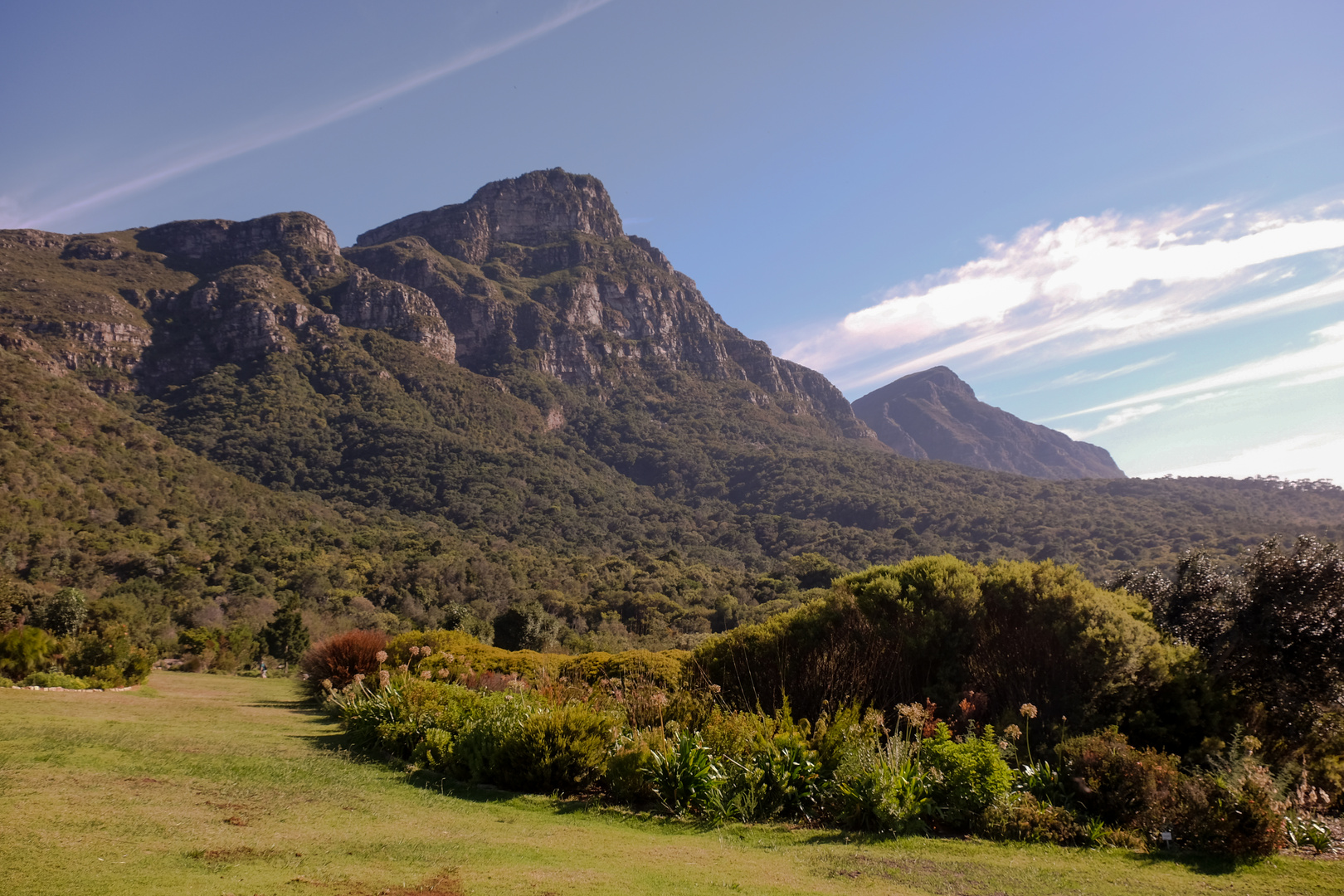 Kirstenbosch Blick