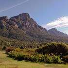 Kirstenbosch Blick