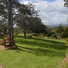 Kirstenbosch Botanical Garden - der Park 2