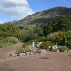 Kirstenbosch Botanical Garden - direkt am Eingang..