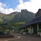 Kirstenbosch Botanical Garden - direkt am Eingang.