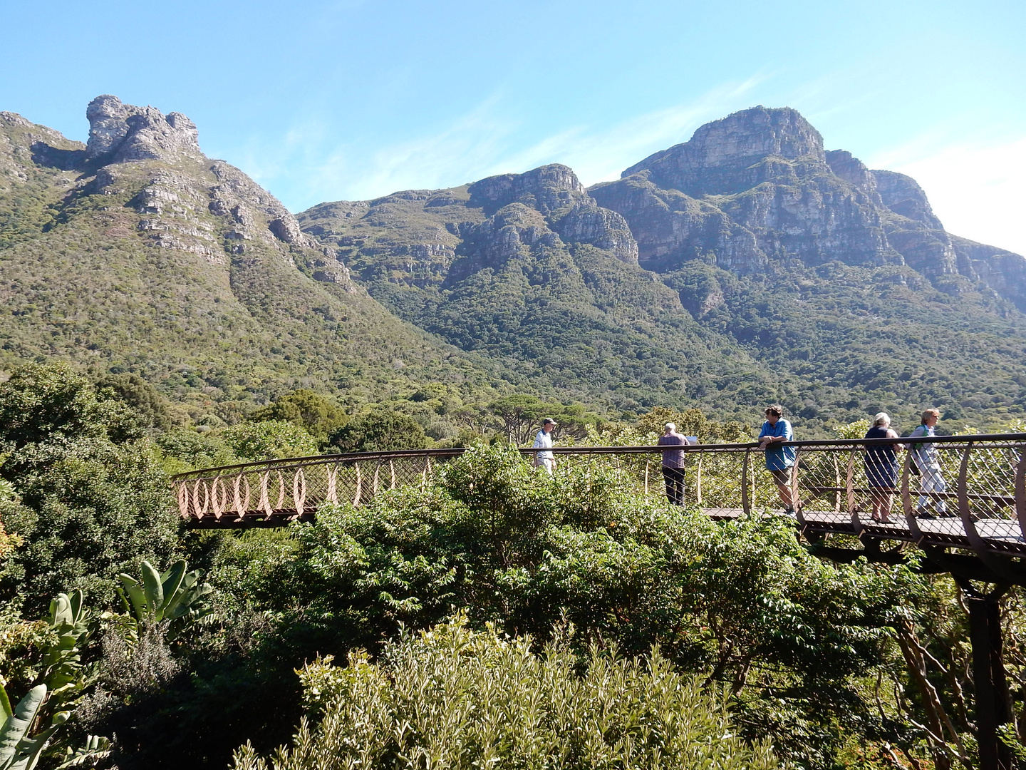 Kirstenbosch National Botanical Garden