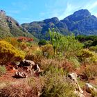 Kirstenbosch National Botanical Garden