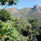 Kirstenbosch National Botanical Garden