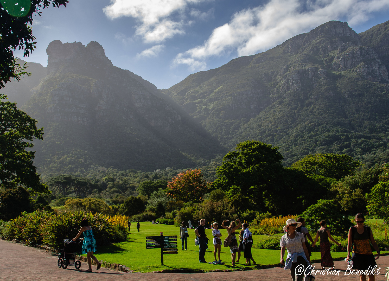 Kirstenbosch National Botanical Garden im Gegenlicht