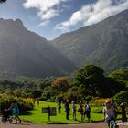 Kirstenbosch National Botanical Garden im Gegenlicht