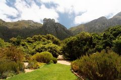 Kirstenbosch National Botanical Gardens 19