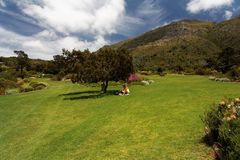 Kirstenbosch National Botanical Gardens 23