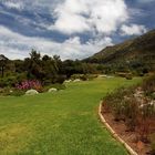 Kirstenbosch National Botanical Gardens 26