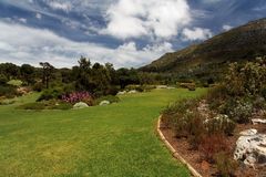 Kirstenbosch National Botanical Gardens 26