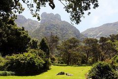 Kirstenbosch National Botanical Gardens 58