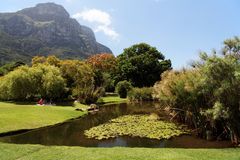 Kirstenbosch National Botanical Gardens 63