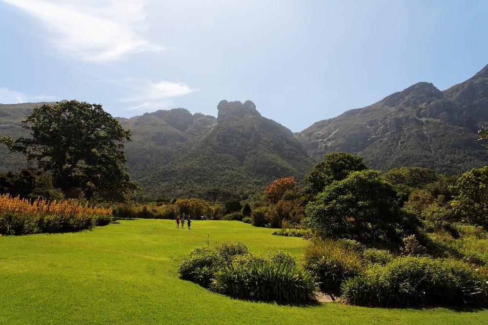 Kirstenbosch National Botanical Gardens 71