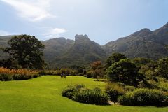 Kirstenbosch National Botanical Gardens 71