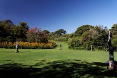 Kirstenbosch National Botanical Gardens 74