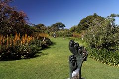 Kirstenbosch National Botanical Gardens 76