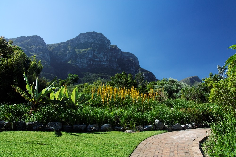 Kirstenbosch National Botanical Gardens 79