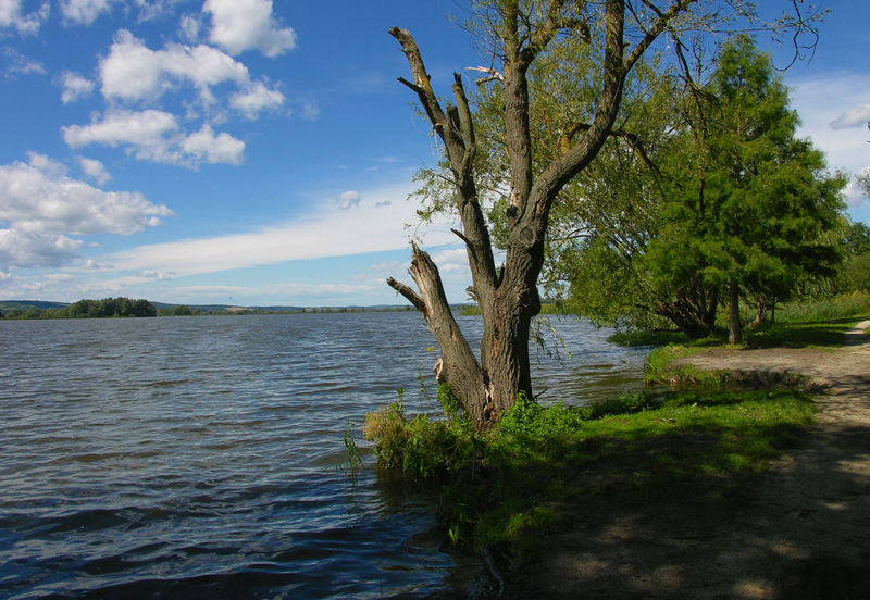 Kis Balaton