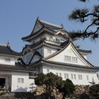 Kishiwada Castle