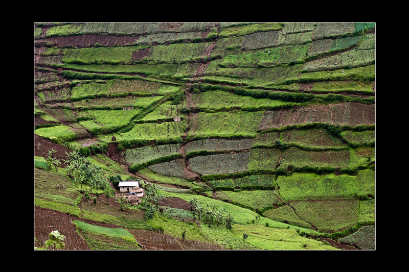 Kisoro