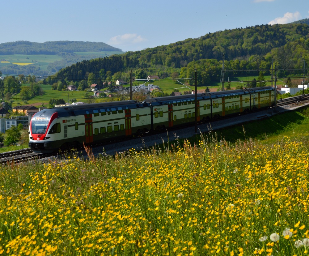 KISS im Frühling II