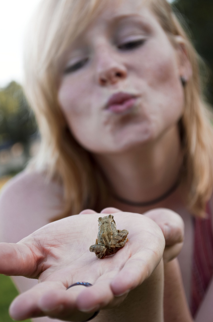 kiss the frog