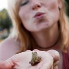 kiss the frog