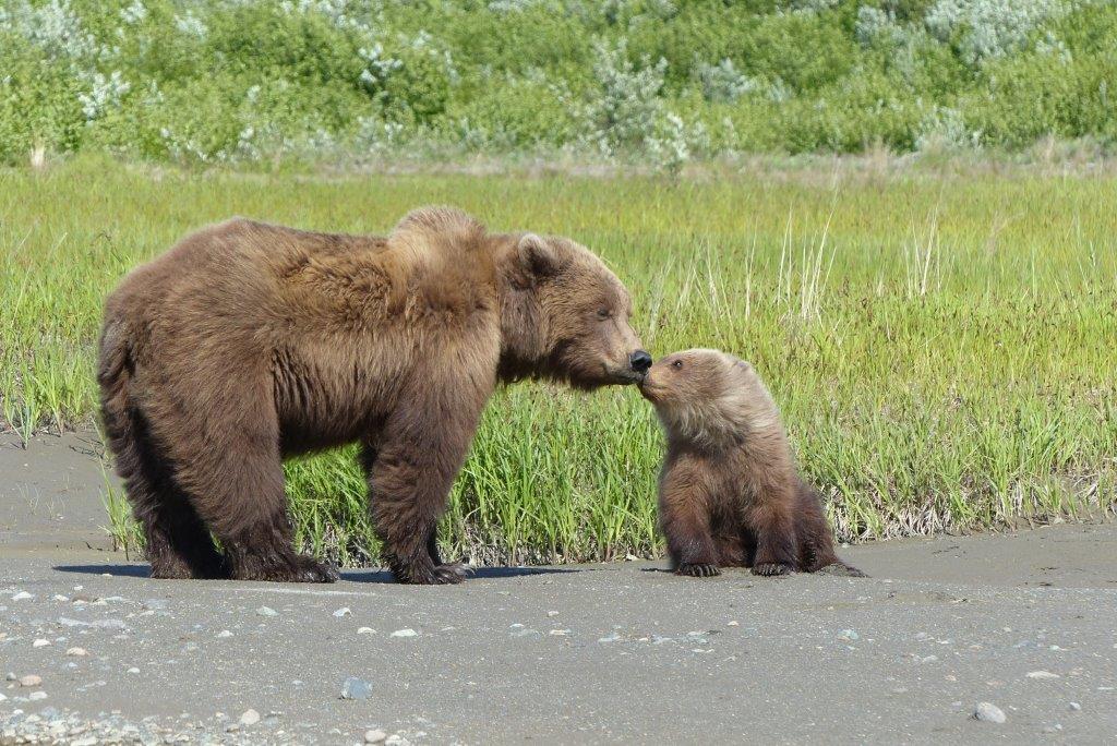 Kissing time