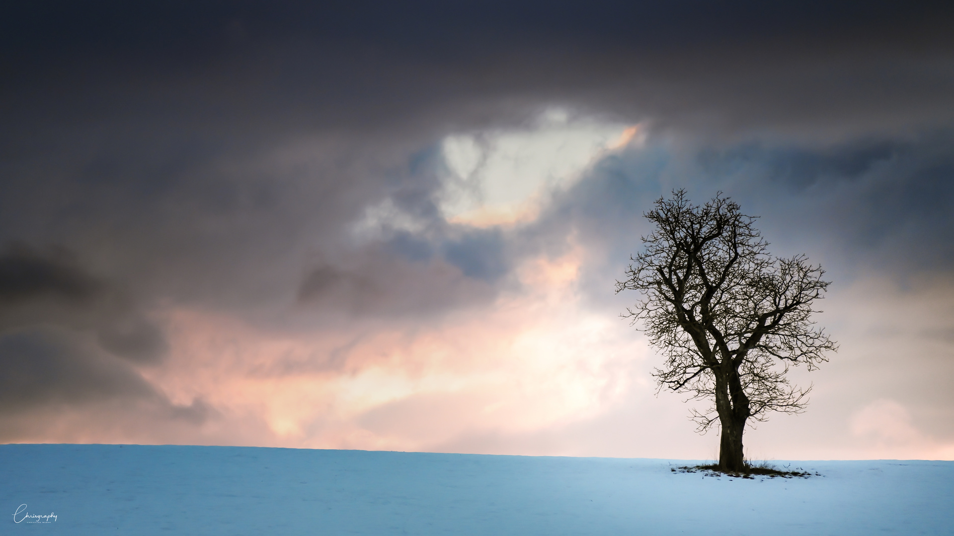 Kissing Trees