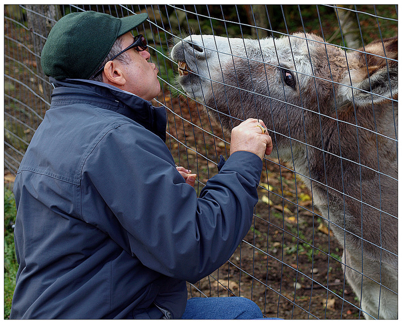 Kiss....Kiss....Il Ciuccio ...ed il Maestro....