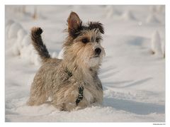 Kissy im Schnee