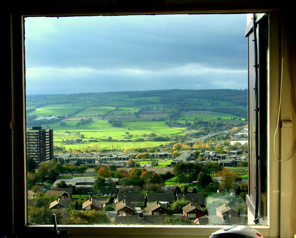 Kitchen Window shot