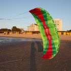 Kite