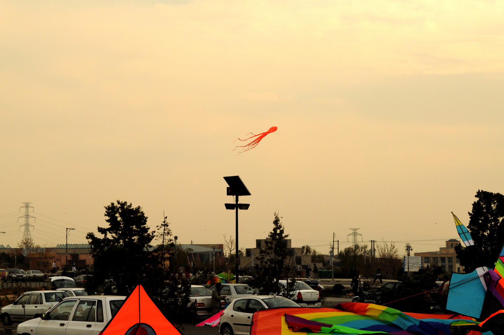 Kite