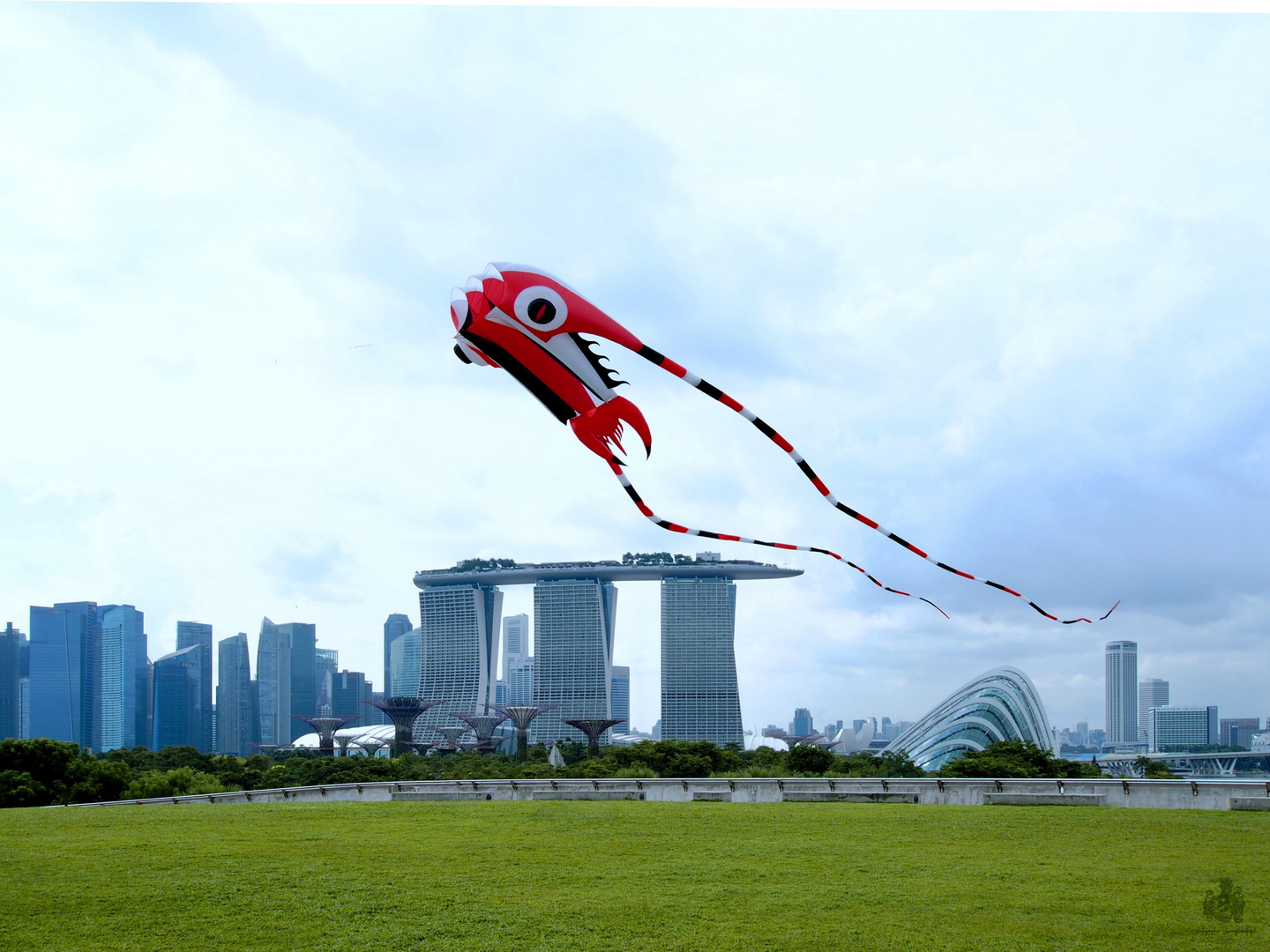 KITE ABOVE SINGAPORE