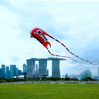 KITE ABOVE SINGAPORE