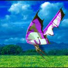 KITE ANGEL