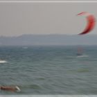 Kite auf der Kieler Förde