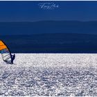 Kite bzw. Windsurfen am Neusiedlersee 