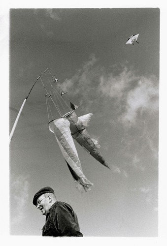 kite competition, Moravia, autumn 2004