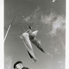 kite competition, Moravia, autumn 2004