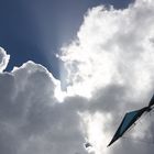 Kite flight