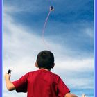 Kite Flyer 1