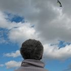 kite flying in a strong wind