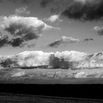 Kite in black and white
