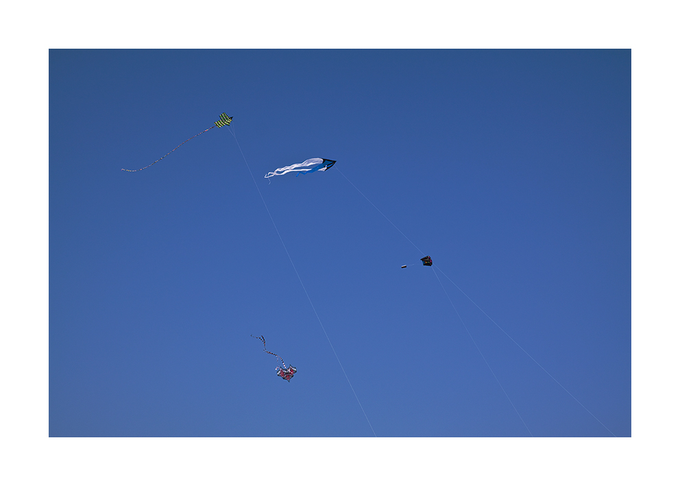 kite in the sky