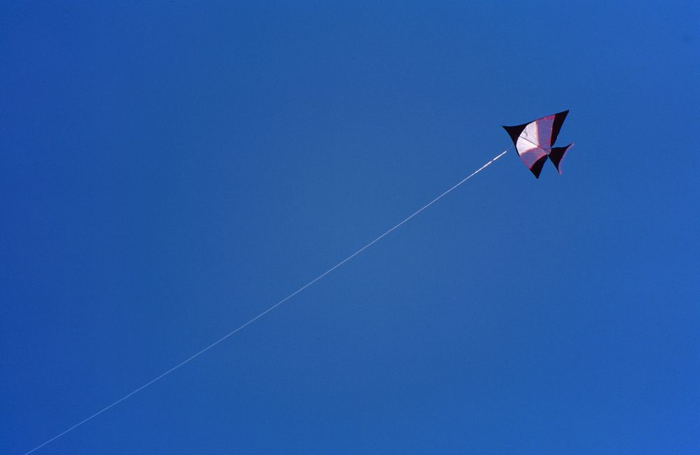 Kite on Bali