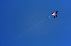 Kite on Bali