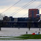 Kite-Surfen auf dem Rhein